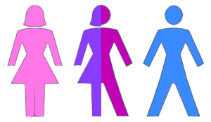 Three or more genders?