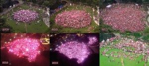 Pink Dot 2009-2014 Freedom to Love Singapore