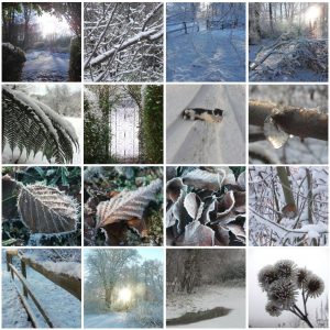Winter photography