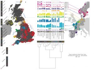 The genetic structure of the British population, Nature